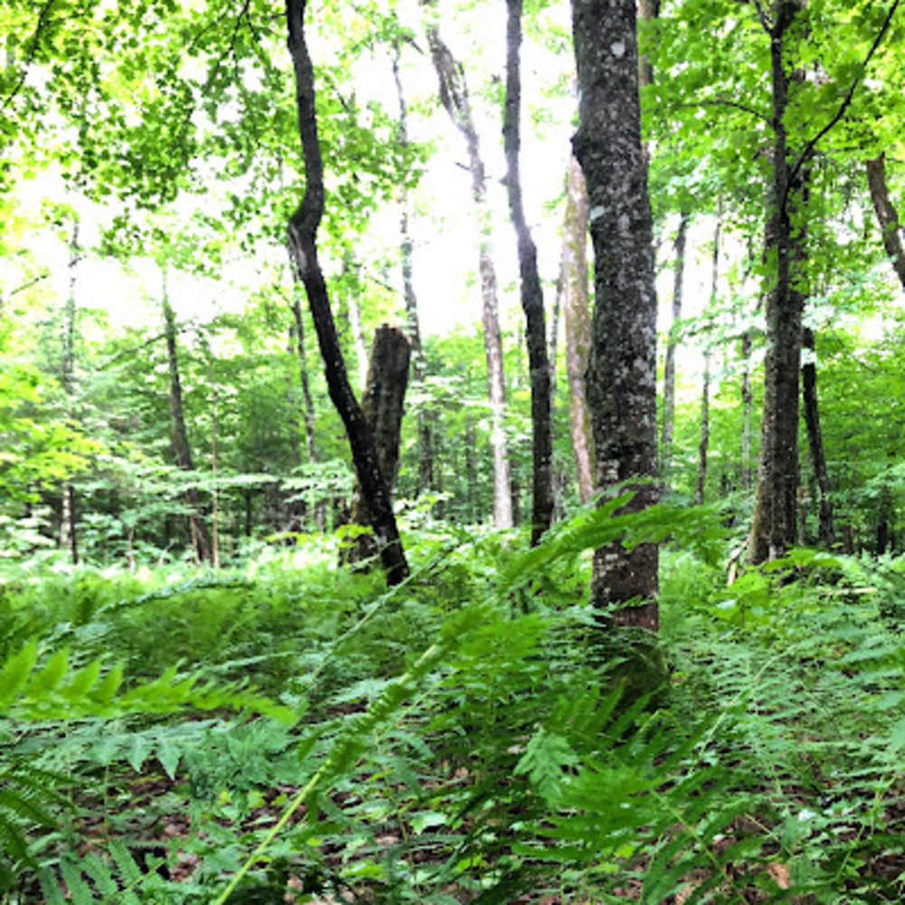 Meet your Posher, Sherif